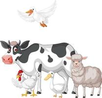 Farm animals on white background vector