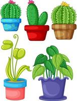 Set of different plants in pots vector