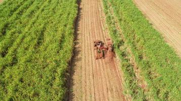 Sugar cane harvest in sunny day in Brazil. Aerial view. photo