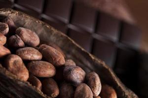 vaina de cacao y granos de cacao en la mesa de madera