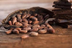 vaina de cacao y granos de cacao en la mesa de madera