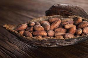 vaina de cacao en mesa de madera