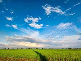 photo of electric cable lines leading to light in the sky at a rice field location during the day
