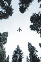 fondo de vista de avión de bosque foto