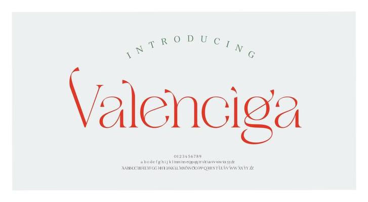 Luxury alphabet letters font. Typography elegant wedding classic lettering serif fonts decorative vintage retro concept. vector illustration