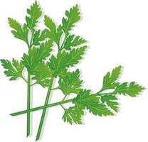 Green celery vegetable vector
