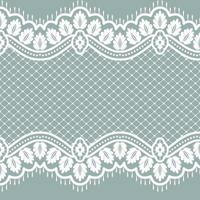 Lace seamless pattern vector