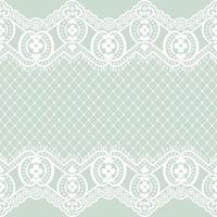 Lace seamless pattern vector