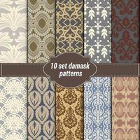 set of vector elegant damask patterns. Vintage royal patterns with a label.