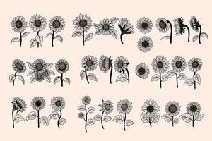 Set Huge Collection Bundle of Sun Flower isolated Decorative Beautiful Hand Drawn illustration vector