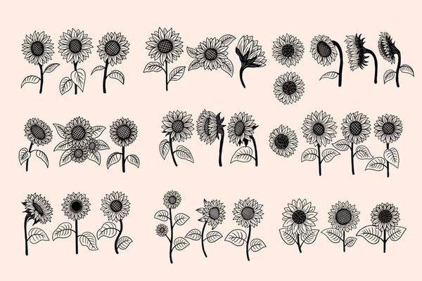 Set Huge Collection Bundle of Sun Flower isolated Decorative Beautiful Hand Drawn illustration