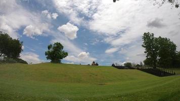 arbre et nuages blancs et ciel video