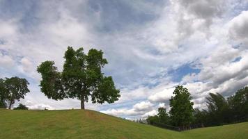 Baum und weiße Wolken und Himmel video