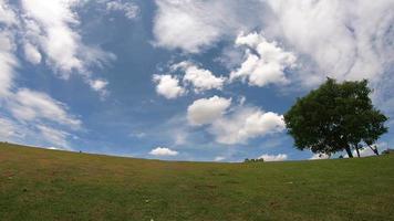 Baum und weiße Wolken und Himmel video