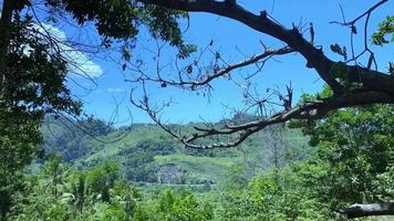 panorama lasso di tempo della città di jayapura, indonesia video