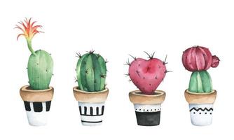 conjunto de cactus en maceta. ilustración de acuarela vector