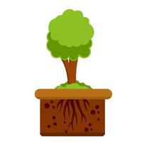 Root system of tree. Nature and forest. vector