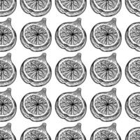 Half fig seamless vector pattern. Sketch of ripe garden fruit with tasty pulp, seeds. Monochrome outline of vegetarian plant. Slice of exotic dessert. Hand drawn botanical background