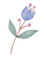 Watercolor Illustration of Spring Wildflower vector
