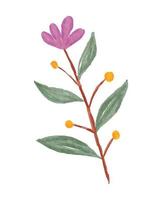 Wildflower Illustration with Watercolor Style vector