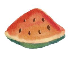 Watermelon Illustration with Watercolor Style vector