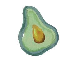 Sliced of Avocado with Watercolor Illustration Style vector