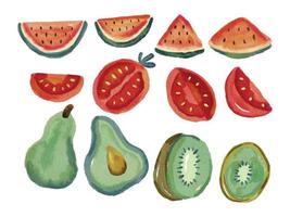 colección de frutas y verduras en rodajas ilustración acuarela vector