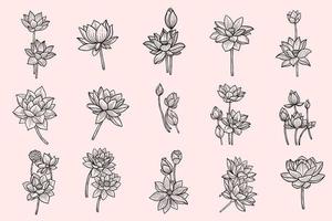 Set of Collection Bundle Hand Drawn Flower Lotus leafs naturals isolated sticker black botanical Line Art illustration vector