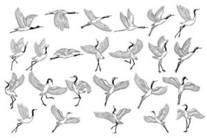 Set Mega Collection Bundle Stork Bird Flying Tropical cartoon Wild birds cranes Hand Drawn vector