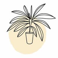 Vector sketch of a house plant. Drawing by hand