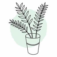 Vector sketch of a house plant. Drawing by hand