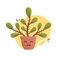 Indoor cute plant. Vector illustration.