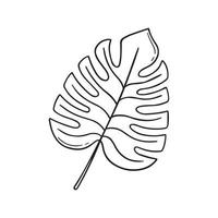 garabato de hoja de monstera dibujado a mano. planta tropical en estilo boceto. ilustración vectorial aislado sobre fondo blanco. vector