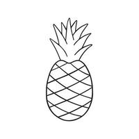 Hand drawn pineapple doodle. Fruit in sketch style. Vector illustration isolated on white background.