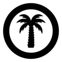 Palm tree tropical coconut icon in circle round black color vector illustration image solid outline style
