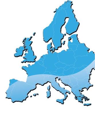 3D blue europe map vector