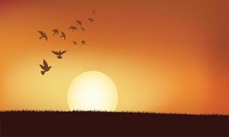 puesta de sol sobre la ilustración de la hierba con la silueta de los pájaros