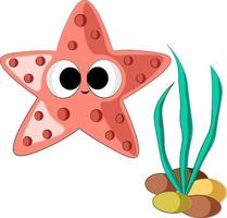 Cute cartoon Starfish. Draw illustration in color vector