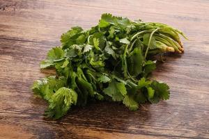 Fresh green Coriander leaves heap photo