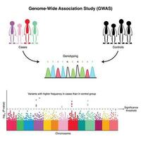 Genome-Wide Association Study Diagram vector