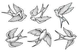 Old School Tattoo Swallow Birds Set vector