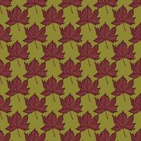 Leaves maple engraved seamless pattern. Vintage background botanical with canadian foliage in hand drawn style. vector
