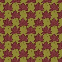 Leaves maple engraved seamless pattern. Vintage background botanical with canadian foliage in hand drawn style. vector