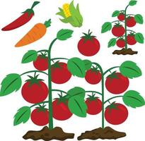 granja de frutas y verduras vector