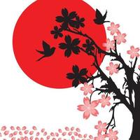 cherry blossom sakura vector