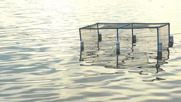 Cages for fishing, constructed from blue PVC pipes covered with rope nets. Float with white plastic buoys on the water surface with glow of the sun. video