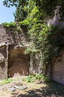 ruinas romanas en roma, foro foto