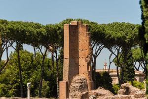 Roman ruins in Rome, Forum photo