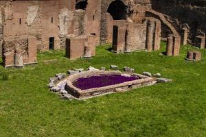 Roman ruins in Rome, Forum photo