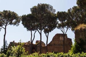 ruinas romanas en roma, foro foto